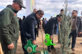 11 Kasım Milli Ağaçlandırma Günü’nde 20 bin fidan dikildi