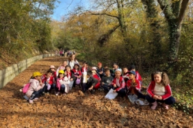 17-30 Kasım Erozyonla Mücadele Haftası