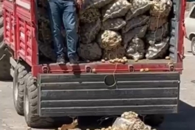 17 milyon ceza ön görülmüştü, yaptığı yanına kar kaldı