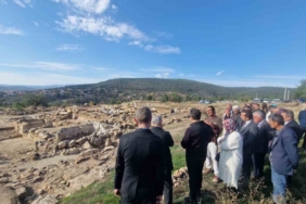 4 bin yıllık Hyllarima Antik Kentinde Zeytin hasadı