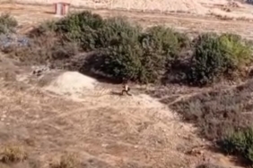 Adana’da nefes kesen kovalamaca: Firari hükümlü boş arazide yakalandı