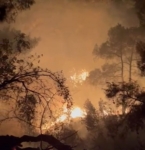 Adana’da orman yangını büyümeden söndürüldü