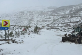 Adana’nın yüksek kesimlerinde kar yağışı etkili oldu