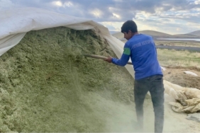 Ağrı’da besiciler kış hazırlıklarına başladı