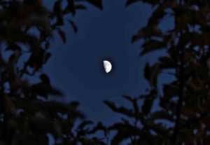 Ahlat’ta yarım ay manzarası hayran bıraktı