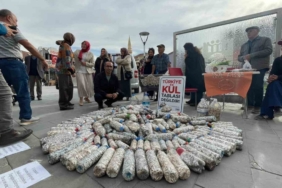 Akademisyen ve gönüllüler 2 ayda 100 bin sigara izmariti topladı