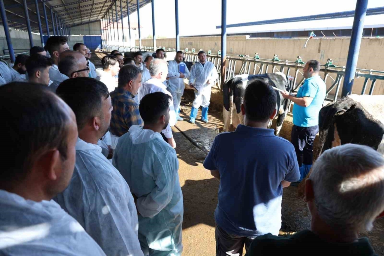Aksaray’da 60 ilin personeline ineklerin başında uygulamalı eğitim