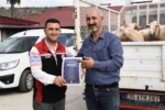 Aliağa’da hibe koyun ve koçlar üreticilere teslim edildi