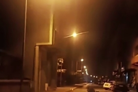 Anne ayı ve yavruları ilçe merkezine indi