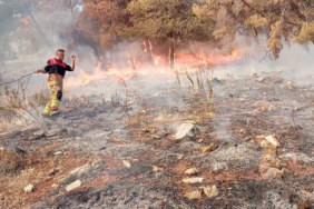 Antakya’da orman yangını