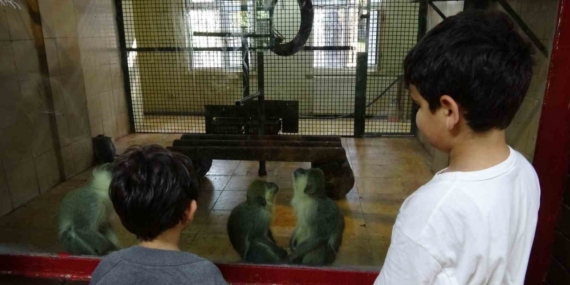 Ara tatile çıkan öğrenciler soluğu hayvanat bahçesinde aldı