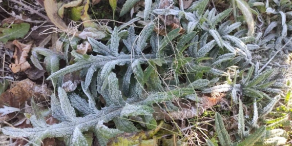 Ardahan’ın Göle ilçesi Türkiye’nin en soğuk yerleşim yeri oldu