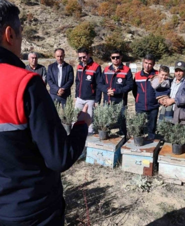 Arıcalara lavanta fidesi dağıtıldı