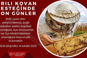 ’Arılı kovan’ desteği için son gün