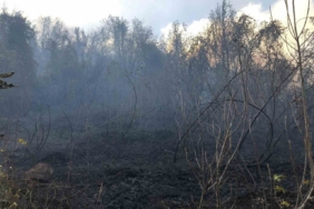 Artvin Hopa’da ziraat alanında çıkan yangın ormana sıçradı