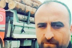 Artvin’de üzerine ağaç devrilen şahıs hayatını kaybetti