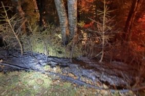 Artvin’de zirai alanda yangın kısa sürede söndürüldü
