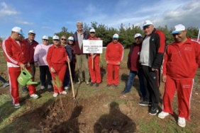 Ayvalık’ta ertelenen fidan dikim etkinliğine ilgi yoğun oldu