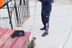 Bacaya sıkışan kediyi itfaiye kurtardı