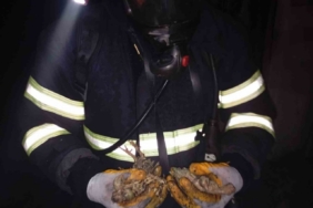 Balıkesir’de 5 bin piliç yangında telef oldu