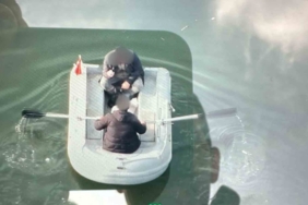 Baraj gölüne 135 metre kaçak ağ sererken jandarmaya yakalandılar