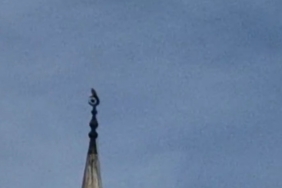 Bartın’da gökdoğan heyecanı