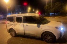 Başıboş at, araca çarptı