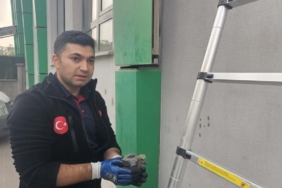 Batman’da kolonlara sıkışan kuş kurtarıldı