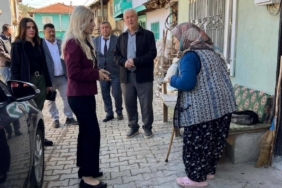 Bayan Kaymakam köy köy dolaşıyor