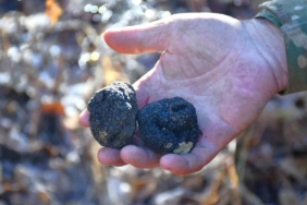 Bayburt ‘Kara Elmas’ ile tanışacak