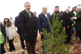 Beydağı’nın etekleri 10 bin 444 ağaçla geleceğe nefes oldu