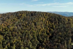 Biga’da sonbahar renklerine bürünen ormanlar havadan görüntülendi