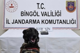 Bingöl’de uyuşturucuyla mücadele