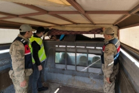 Bir ay içinde 28 düzensiz göçmen yakalandı