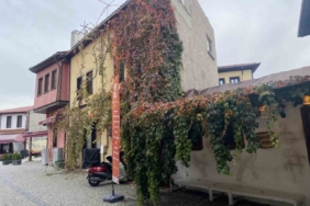 Bitkiler ile kaplanan tarihi yapı kartpostallık manzara oluşturuyor