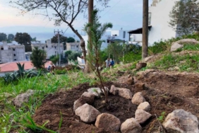 Bodrum Belediyesi çocukları doğayla buluşturdu
