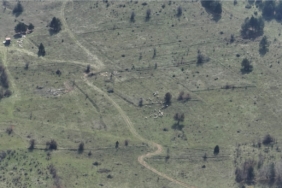 Bolu’da kayıp hayvanlar dronla bulundu