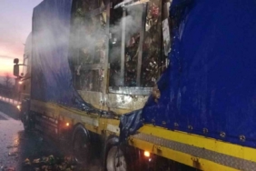 Bolu’da kuruyemiş yüklü dorse yandı