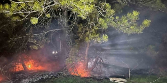 Bolu’da ormanlık alanda yangın çıktı