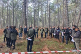 Bolu’da sağlıklı ormanlar için ekipler sahaya indi