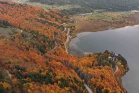 Bolu’nun doğa harikası Abant’ta ziyaretçiler akın etti