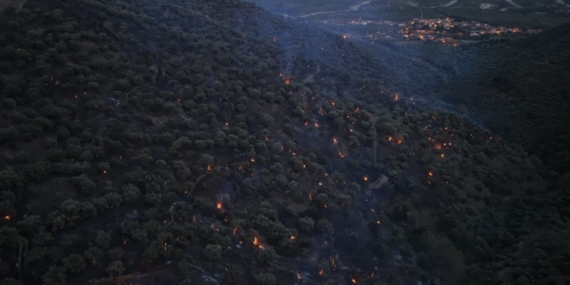 Bozdoğan yangını büyük ölçüde kontrol altına alındı