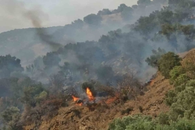 Bozdoğan’da orman yangını