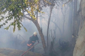 Bozyazı’da çıkan yangın seralara zarar verdi