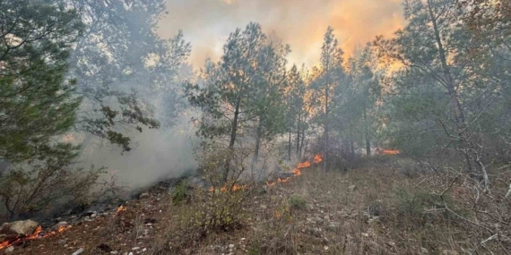 Bozyazı’da orman yangını kontrol altına alındı