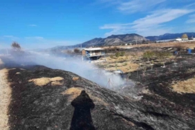 Bucak’ta arazi yangını itfaiye ekiplerince söndürüldü