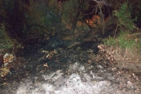 Bucak’ta arazi yangını