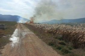 Bucak’ta sazlık alanda yangın