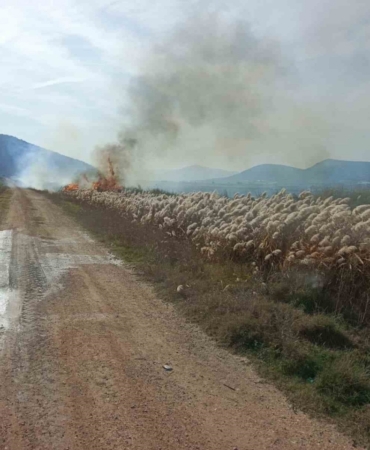 Bucak’ta sazlık alanda yangın