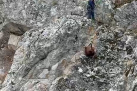 Burdur’da mahsur kalan keçiler ekipler tarafından kurtarıldı